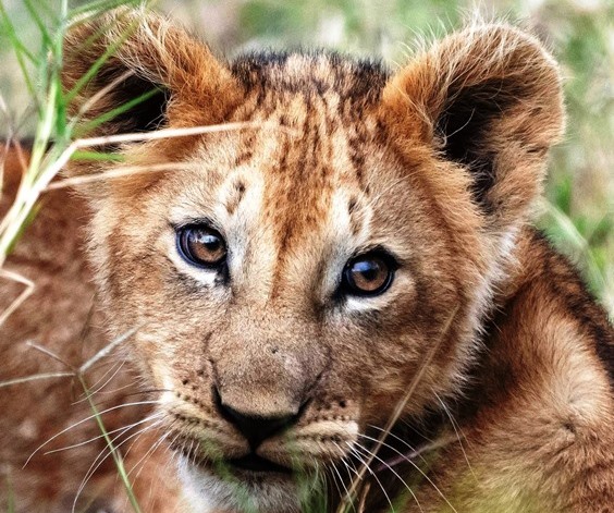 about-s-photo-1 About Us